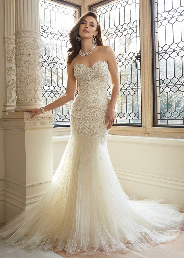 Sophia Tolli